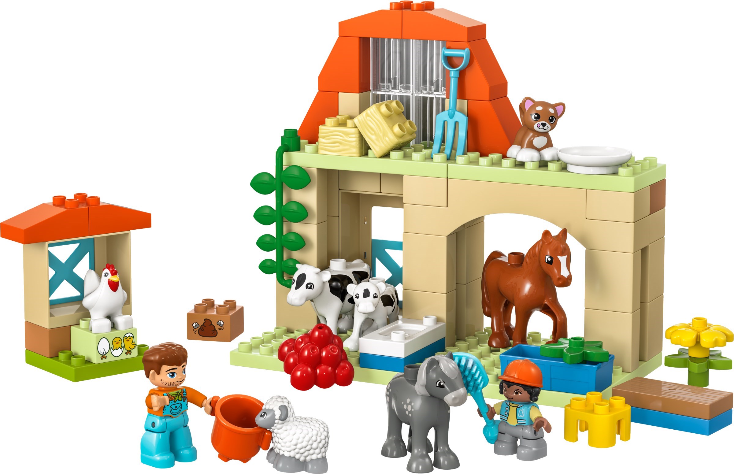 Town Caring for Animals at the Farm